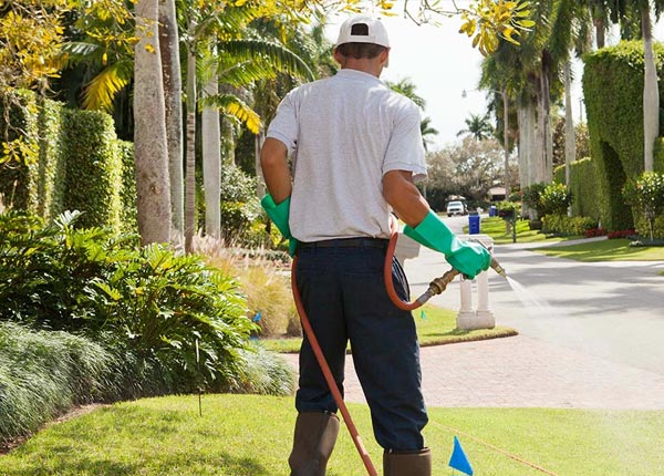 About Olney TX Pest Control
